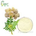 Poudre d&#39;extrait de Boswellia Serrata 65% 90% Acide Boswellique